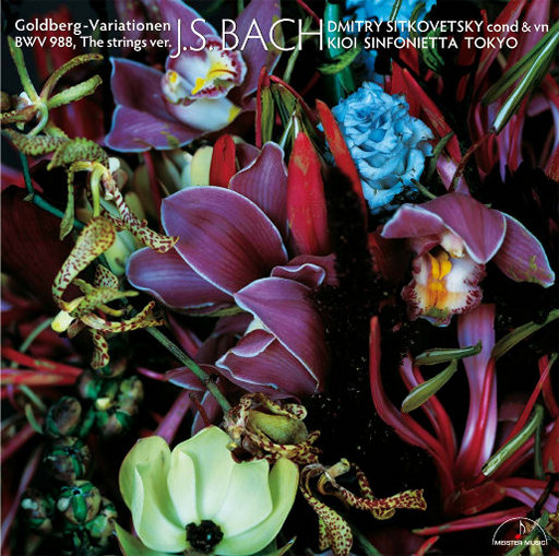 嗯～要～奶子好大好喜欢
